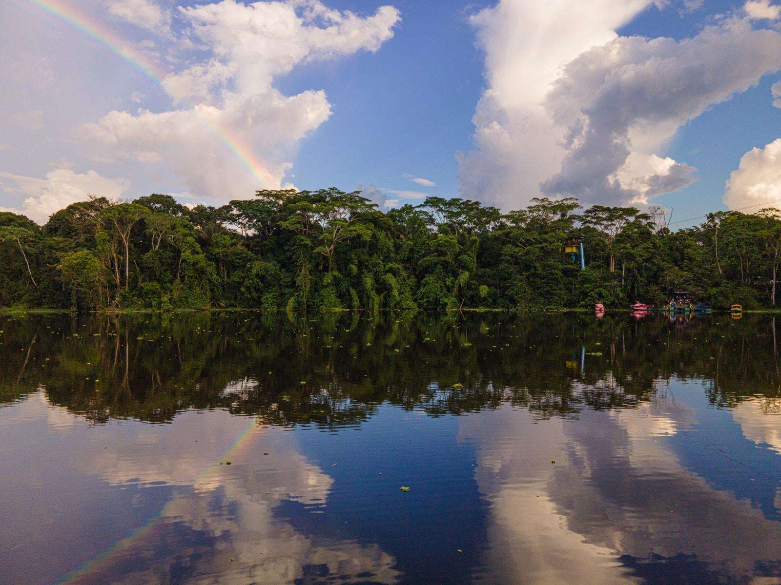 The Amazon Rainforest: Reality Beyond Myth